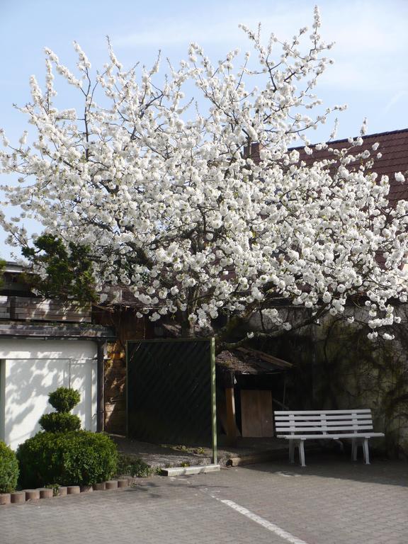 Hotel Am Birkenweg Erlangen Exterior foto